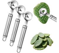 XIBDGNTNE Cucchiaio per sbucciare cactus, sbucciatore multifunzione in acciaio inox per cactus, tagliapasta cinese, adatto come accessorio da cucina, design con lama scanalata