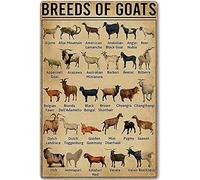 Xiddxu Goat Knowledge Targa in metallo con razza di capra che impara a imparare a leggere il poster della biblioteca scolastica per soggiorno, cucina, bagno, decorazione da parete per la casa, idea