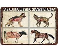 Xiddxu Targa da parete in latta con motivo anatomia degli animali, per pubblicità e bar, adatta per uomo, grotta, bar, caffetteria, ufficio, casa, cucina, cottage, ristorante, 20 x 30 cm
