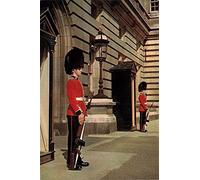 Xiddxu Targa in metallo con scritta "London Queen's Guard Sentries of the Irish Guard", decorazione da parete per casa, bar, ufficio, negozio, pub, club, regalo, 20,3 x 30,5 cm