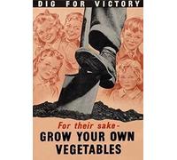Xiddxu Targa in metallo vintage retrò "Dig for Victory Grow Your Own Vegetables War Outdoor Street & Home Bar Club Cucina Ristorante Decorazione da Parete Targa 20,3 x 30,5 cm