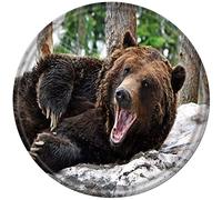 Xiddxu Targa rotonda in metallo con scritta "Big Bear Grizzly", per la casa, targa in metallo, stile retrò, per dessert, negozio, caffetteria, fattoria, 15,2 x 15,2 cm