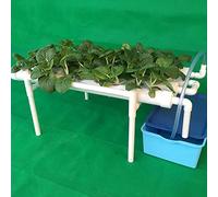 Xigner Hydroponic Site Grow Kit, PVC-U Hydroponic System 1 Strato 36 Posizioni, 4 Tubi, e profondità di Flusso, Giardini Acquatici per Piante, Coltivazione, Giardino, idroponico, Bianco