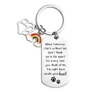 XIHIRCD Portachiavi Commemorativo per Cani per la Perdita del Cane, Regalo Commemorativo per Cani con Ponte Arcobaleno Portachiavi per Cani con Simpatia e Lutto per Cani Gatti Animali Domestici