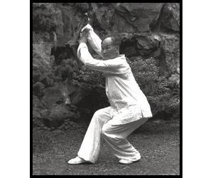 Xing Yi and Cha Style Kung Fu