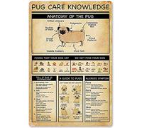 XingFox Cartello in metallo con scritta Il cibo che mangia il tuo cane per la scuola, il bar, la camera da letto, il bagno, la cucina, la casa, l'arte, la decorazione murale, 8x12 pollici