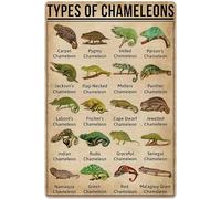 XingFox Cartello in metallo retrò - Poster di sigari 8x12 pollici - Decorazione per caverna maschile Teologia del piacere - Targa da parete impermeabile