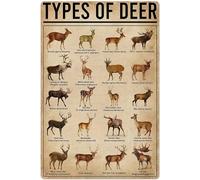 XingFox Integrità Poster Vintage Sign L'integrità è fare la cosa giusta quando nessuno ti guarda Cartello in latta Poster in ferro Cartello interessante Decorazione murale vintage 8x12 pollici