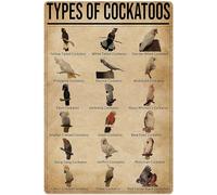 XingFox L'ultimo arrivato è un pollo con uova marce, cartello da fattoria, decorazione artistica, cartello da interno, decorazione da parete, cartello in metallo, 8x12 pollici