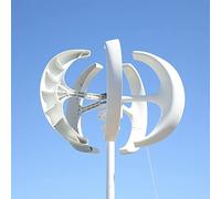 XINHAN Generatore di Turbine eoliche Generatore di Turbine eoliche 5kw 8kw 12/24/48V 5 Lame Mulino a Lanterna ASSE Verticale for lampione con Controller MPPT(White,Turbine Only_24V_5000W)