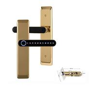 XINHAN Serratura elettronica digitale Tuya Serrature biometriche intelligenti for impronte digitali Password Serratura for porta senza chiave for casa e ufficio - Blocco intelligente(T11gold)