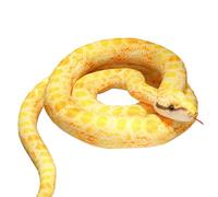 Xinhuju Animale in peluche serpente - Grande boa Constrictor ultra morbido da 110 cm, tessuto robusto, design realistico, giocattolo per ragazze, ragazzi, donne, uomini, decorazione per la casa