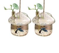 Xiniy 2X Vaso per Fiori Sospeso in Vetro A Forma di Vaso per Terrari Contenitore per Giardino Domestico