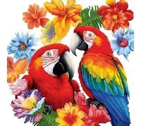 Xinpinzhou Kit Punto Croce Pappagalli, Schemi Quadri Set Ricamo Punto Croce Kit da Ricamare Principianti Starter Prestampato Stampato Completo Bambini Animale Cross Stitch Embroidery Ricami 36 x 36 cm