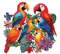 Xinpinzhou Kit Punto Croce Pappagallo Animale, Schemi Quadri Set Ricamo Punto Croce Kit da Ricamare Principianti Prestampato Stampato Completo Starter Bambini Cross Stitch Embroidery Ricami 30 x 30 cm