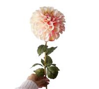 XINXWEN 5 fiori artificiali di dalia crisantemo | Perfetto for il bouquet da sposa, la stanza della casa e la decorazione della festa