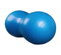 XINYIN Esercizio Stabilità Fitness Fitness Gym Sport Massage Fitball Esercizio Pilates Equipment for Homes Gym Working Massaggio Fitball Pilates Equipment