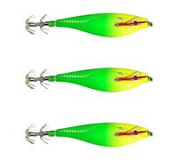 XINYIN Le Esche Artificiali Colorate Sono Dotate Doppio Gancio E proprietà Affondamento Lento per Migliorare L'attrazione dei Pesci Esche per La Pesca in Acqua A più Strati