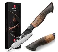 XINZUO 10,7cm Coltello Frutta da Cucina 67 Strati Acciaio Damasco Coltello per Sbucciare -Affilati Professionale Forgiato a Mano Finitura Martellata Spelucchino -Manico in Rovere Bianco e G10 Rosso