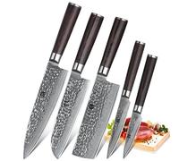 XINZUO 5 Pezzi Set di Coltelli da Cucina, 67 Strati Acciaio Damasco Set di Coltello Chef, Professionale Coltello Chef Santoku Nakiri Universale Frutta-Manico in Legno di Pakka- He Serie
