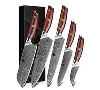 XINZUO Professionale 5 Pezzi Set di Coltelli da Cucina Acciaio Damasco | 67 Strati di Acciaio Damasco Affilata Coltello da Chef Santoku Multiuso Frutta Pane -Ergonomico Manico in Legno di Rosa