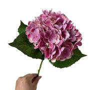 XIOANG artificiale realistico Hortensia per, Cameo brown