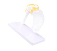 Xiuganpo Modello di Articolazione della Spalla Materiale PVC Premium Legamenti Artificiali Flessibili Modello di Articolazione della Spalla a Grandezza Naturale 1:1 per L'insegnamento della