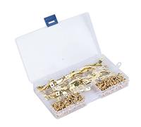 Xiuganpo Set di Ganci per Cornici per Foto in Acciaio Al Carbonio Impermeabile a Dente di , 100 Pezzi + 200 Pezzi, Accessori per Decorazioni Murali per Dipinti, Segnaletica per Artisti e Appassionati