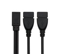 xiwai Cavo di prolunga di ricarica USB-C Splitter Type-C femmina DC 5V a doppio USB 2.0 standard Type-A femmina