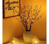 XiXiRan Illuminati a LED, 5 Ramoscelli Luci di Fiabe, Lampada di Salice, Bianco Caldo Luci Decorative Colorate, Regolabile Luminosi a LED per Natale Halloween Feste Nozze Decorazione