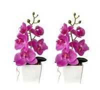 XIZHI Confezione da 2 orchidee artificiali con vaso, 25,4 cm, bonsai, fiori di seta, orchidea farfalla, con vaso, per matrimoni, ufficio, casa, centrotavola per interni (viola)