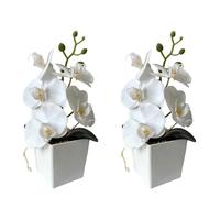XIZHI Confezione da 2 orchidee artificiali con vaso, 25,4 cm, bonsai, fiori di seta, orchidea farfalla, con vaso, per matrimoni, ufficio, casa, centrotavola interni (bianco)