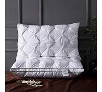 XJZM Oca Giù Cuscino, Albergo Cuscino, Super Soft Hotel di qualità 100% White Goose Giù Bianco Cuscino 48 X 74 Centimetri (White,2 Packs)