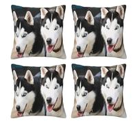 XKBFKLKMC Set di 4 federe per cuscino con stampa 3D, motivo cane husky, quadrate, morbide, comode, decorative, per divano, sedia, camera da letto, letto, auto