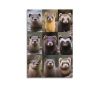XKUGA Mustelidae - Poster decorativo da parete su tela, motivo: animali selvatici, carini carnivori, stampa moderna, per camera da letto, per camera da letto, 30 x 45 cm