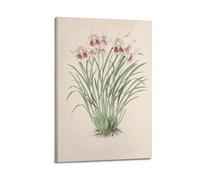 XKUGA Poster decorativo da parete su tela, motivo: orchidea del XIX secolo, motivo botanico con viola del pensiero antico, poster decorativo moderno per camera da letto, per camera da letto, 40 x 60