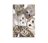 XKUGA Poster vintage con guida alla zoologia con gufi e specie, poster decorativo da parete su tela, stampa artistica moderna, poster decorativo per camera da letto, 40 x 60 cm