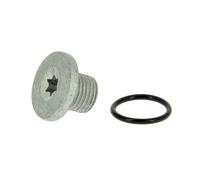 XL 300070 Vite di chiusura, vaschetta dell'olio