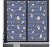 XLANDALYUEFA Pellicola for la Privacy Astronaut Orange Cat for finestre in Vetro, Pellicola Opaca for finestre, Pellicola for vetri Colorati