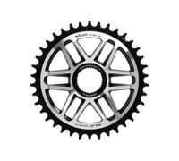 Xlc Cr-e09 E-bike Chainring Argento 38t