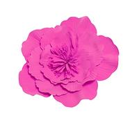 XLDZ Fasce floreali e accessori per capelli da donna: cappelli grandi con fiori, cappelli con fiori Bibi, fasce larghe floreali, fasce per costumi (rosa rossa)