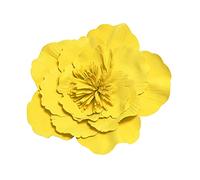 XLDZ Fasce floreali e accessori per capelli da donna: cappelli grandi con fiori, cappelli con fiori Bibi, fasce larghe floreali, fasce per costumi (giugno)