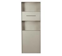 XLIHAWY Mobiletto Portarifiuti Da Incasso Con Ribalta, Pattumiera Nascosta Per Il Bagno, Nicchia In Acciaio Inox Con Portarotolo(C)