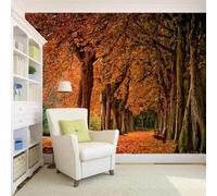 XLMING Accogliente Bello Autunno Bosco Sentiero 3D Carta da Parati Premium Aspetto Della Seta Studio Soggiorno Camera Letto Parete Divano Muro-150cm×105cm