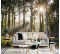 XLMING Carta Da Parati 3D Luce Dell’Alba Nebbia Bianca Foresta Prato Verde | Adesivi Decorativi di Alta Gamma Adatti a Ristoranti Divani Soggiorni Camere TV da Letto e Tutte le Pareti Fondo-430cm×300cm