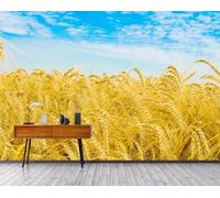 XLMING Minimalista Cielo Blu Nuvole Bianche Oro Spighe Di Grano Carta Da Parati 3D Seta lusso Studio Sala Pranzo Divano Camera Per Mobili Letto Soggiorno Tv Muro-250cm×170cm