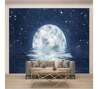 XLMING Semplice Tridimensionale Cielo Stellato Riflesso Della Luna 3D Carta Da Parati Lusso Casa Soggiorno Divano Mobili Floreale Camera Letto TV Sfondo Muro-150cm×105cm