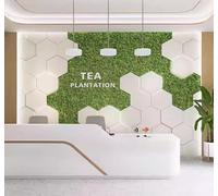 XLMING Tridimensionale Geometrico Tecnologico Verde Piante Salone Di Bellezza Carta Da Parati 3D Seta lusso Studio Sala Pranzo Divano Camera Per Mobili Letto Soggiorno Tv Muro-400cm×280cm