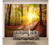 XLMING Tridimensionale Luce Del Sole Autunno Dorato Foresta Carta Da Parati 3D Seta lusso Studio Sala Pranzo Divano Camera Per Mobili Letto Soggiorno Tv Muro-430cm×300cm