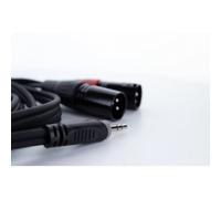 XLR Adattatore a Y Cordial EY 1,5 WMM [1x Spina jack da 3.5 mm - 2x Spina XLR 3